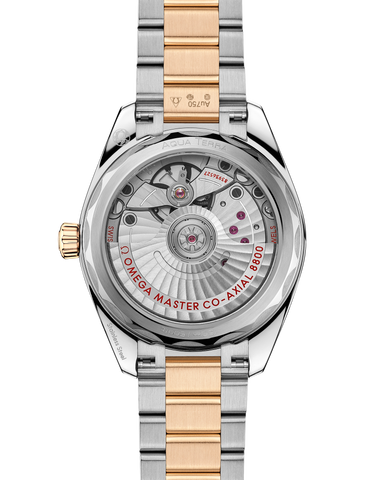 OMEGA 220.20.34.20.10.002 WATCH