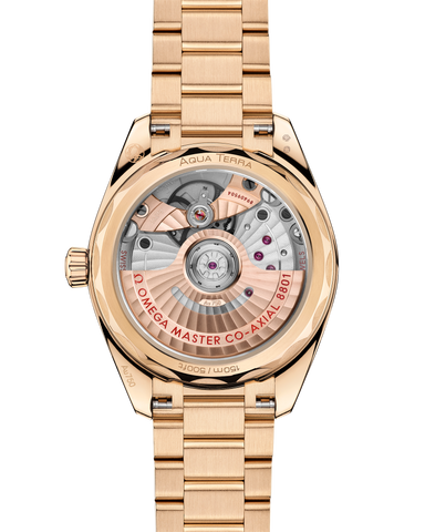 OMEGA 220.50.34.20.02.001 WATCH