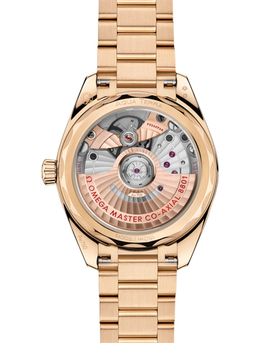 OMEGA 220.50.34.20.08.001 WATCH