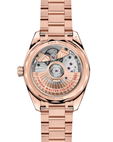 OMEGA 220.50.34.20.09.001 WATCH
