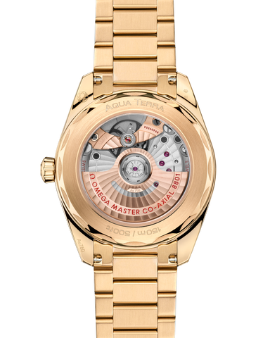 OMEGA 220.50.38.20.08.001 WATCH