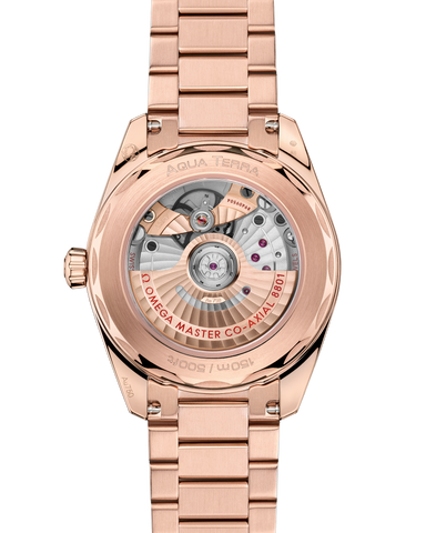 OMEGA 220.50.38.20.10.001 WATCH