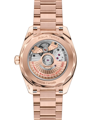 OMEGA 220.55.38.20.09.001 WATCH