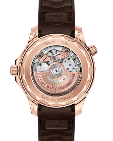 OMEGA 210.52.42.20.04.001 WATCH