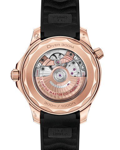 OMEGA 210.62.42.20.01.002 WATCH