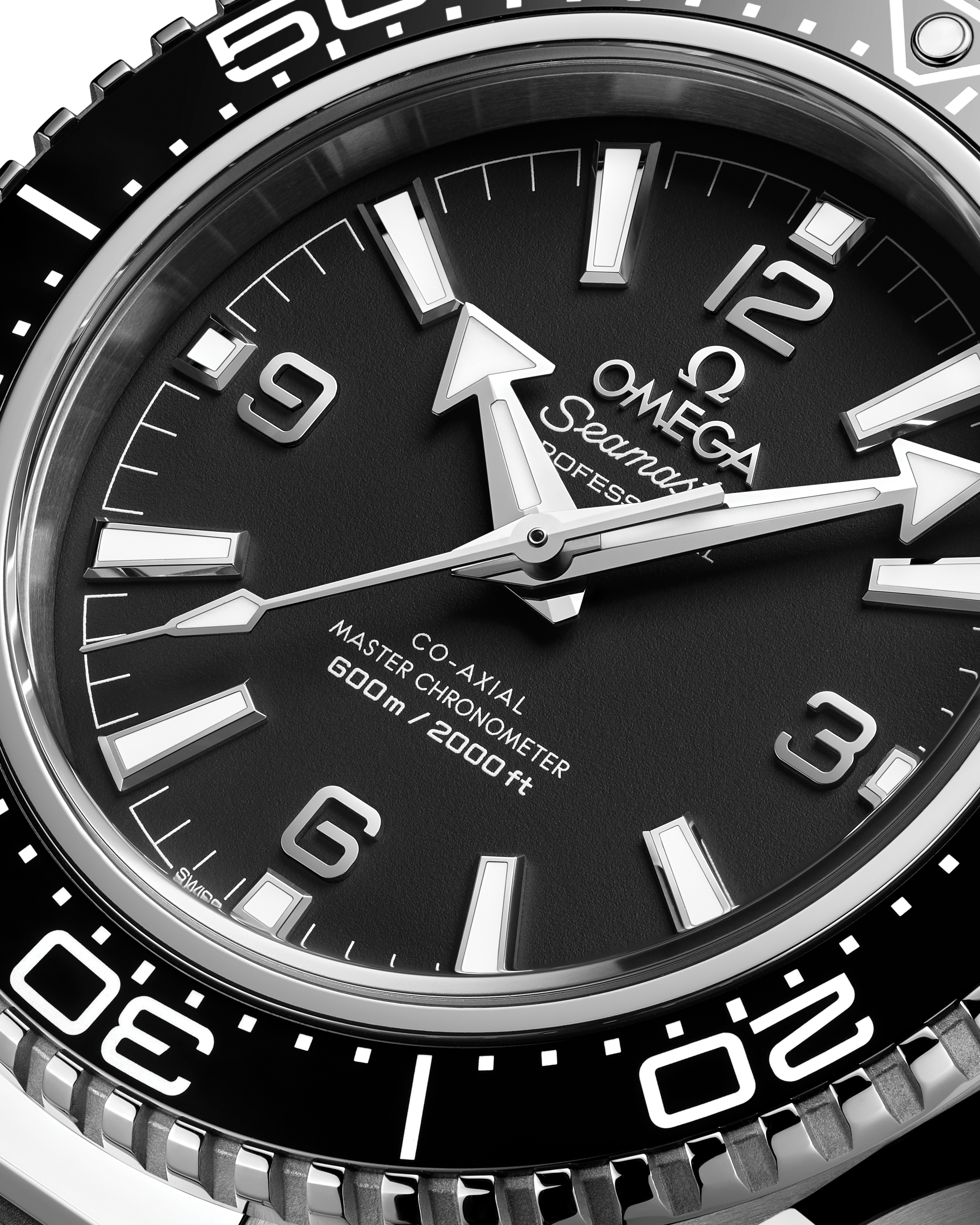 IPPO JAPAN WATCH  217.32.42.21.01.001 Watch