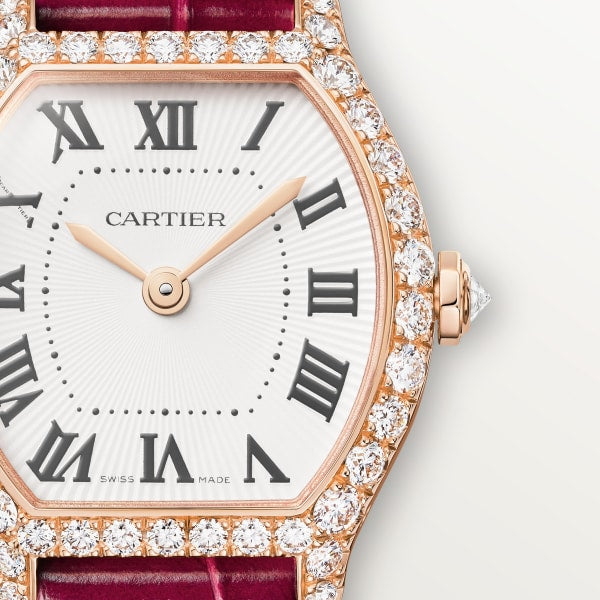Cartier wjto0011 Watch