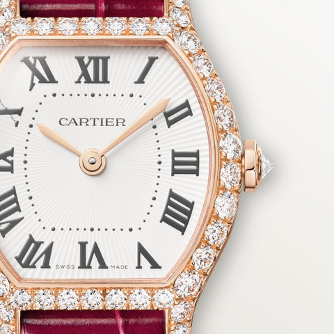 Cartier wjto0011 Watch