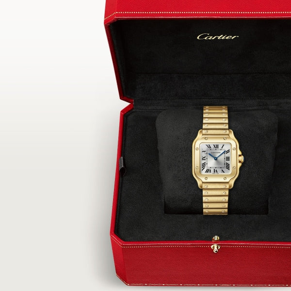 Cartier wgsa0107 Watch - Santos de Cartier watch (Image 6)